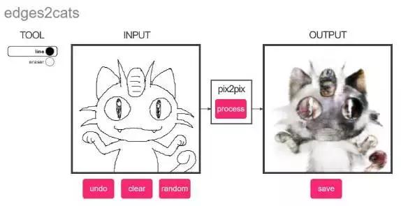 年轻人,想不想亲自去拍个猫片呀!
