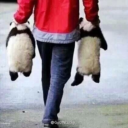 抱大腿暴富后续,抱大腿走上人生巅峰