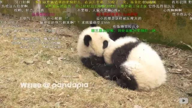 中国十大最火的外国网红,抖音百万网红姐弟抱大腿