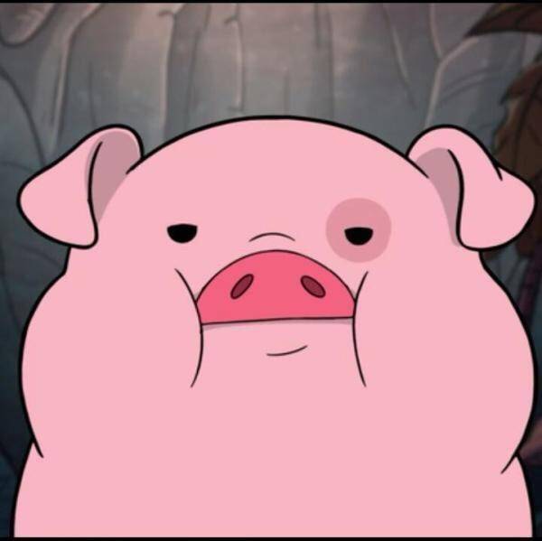 碧云桃｜求助贴男友太直怎么办……