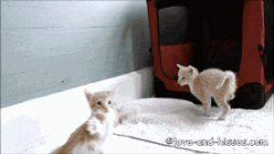 钢材销售员的一天，简直太形象了！笑喷……