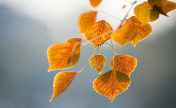 如何打造医院名医门诊,市医院专家门诊一览表