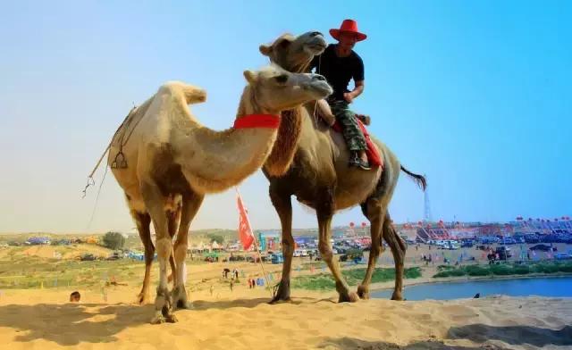 内蒙古通辽市奈曼旗沙漠旅游景点,内蒙古通辽沙漠旅游景点