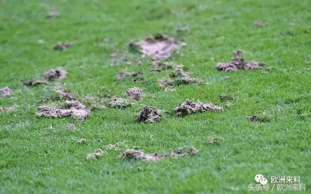 射手受伤和对抗路受伤,射手受伤后要多久走出来