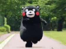 去日本旅行千万别买这些,日本旅游有没有必要买医疗保险