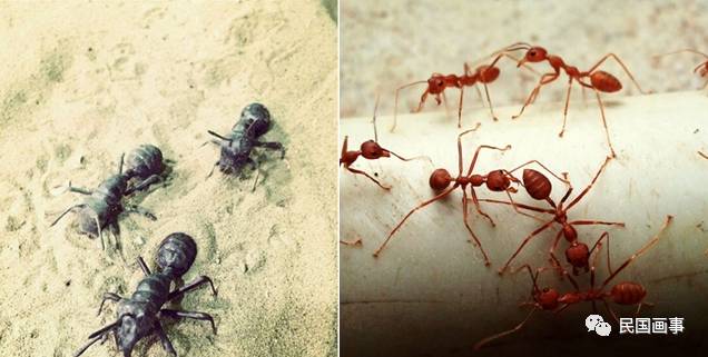 鬼吹灯从墓里盗出过什么,鬼吹灯的墓的凶险