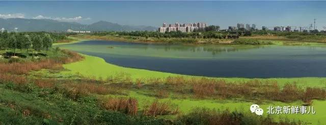 北京赏花踏青自驾游,北京国家森林公园踏青