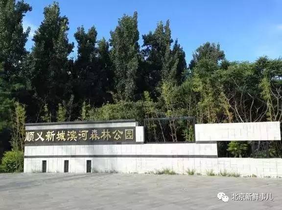 北京最美赏花公园在哪,北京赏花公园景点推荐