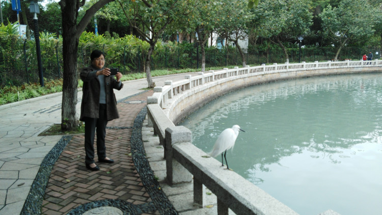 鹭岛靓湖——厦门筼筜湖，海湾公园（厦门深度游39）