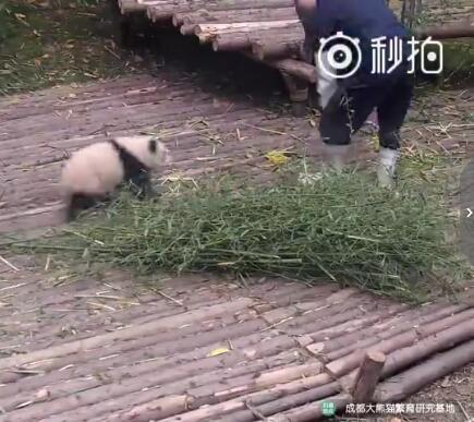 抱大腿暴富后续,抱大腿走上人生巅峰