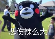 去日本旅行千万别买这些,日本旅游有没有必要买医疗保险