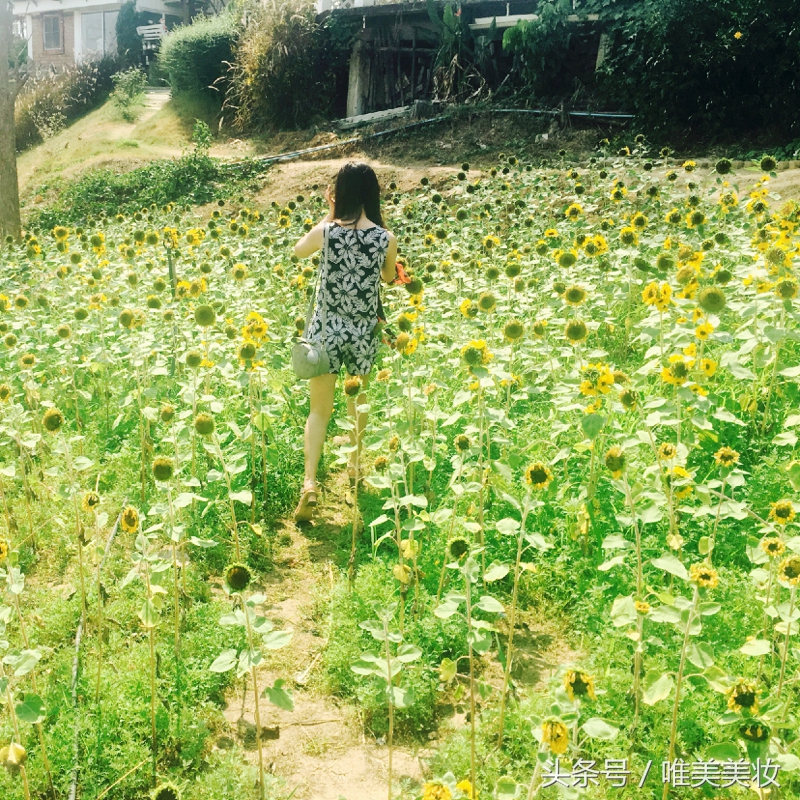 2023日本药妆店必买清单,日本药妆店必买护肤品