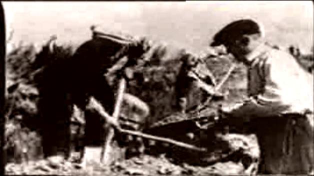 二战的转折点列宁格勒,二战苏德战役纪录片