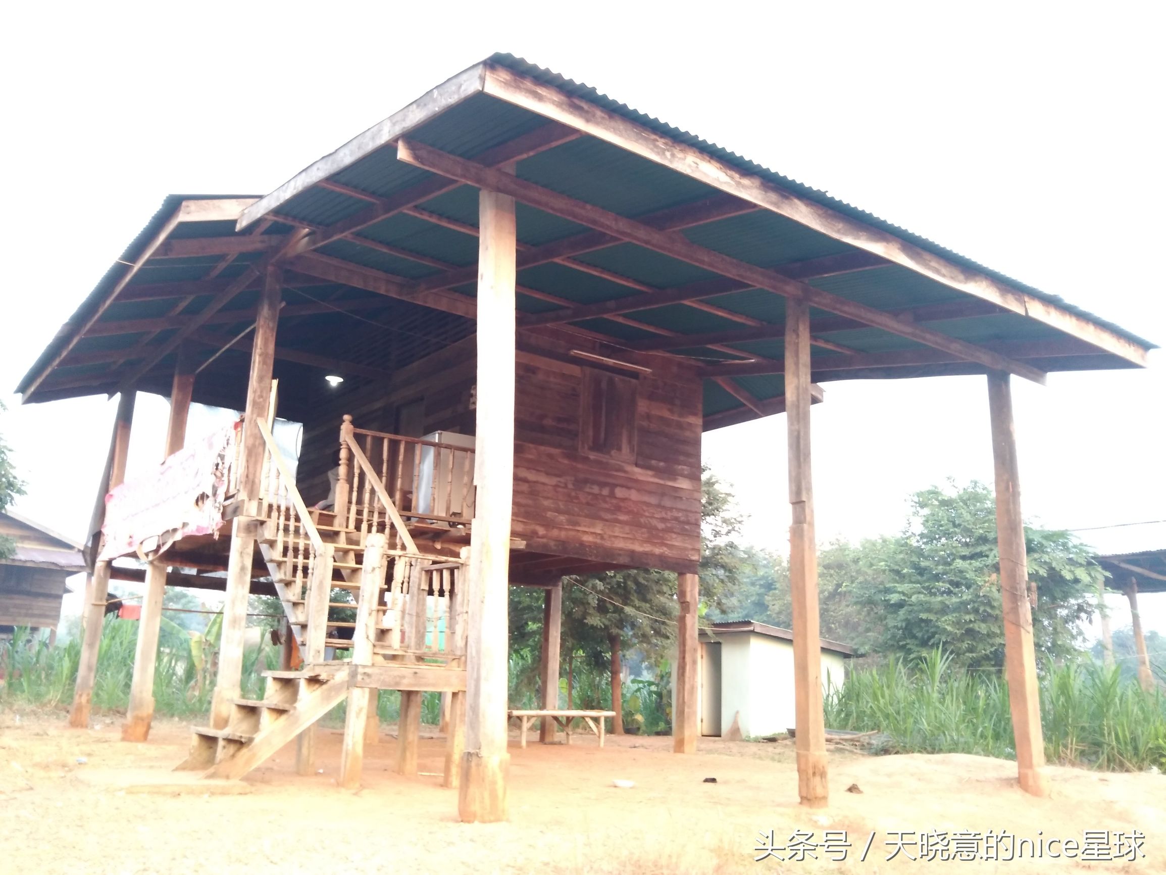 泰国大象旅行记,泰国旅游跟大象近距离接触