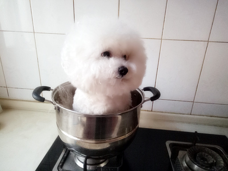 当我抬脚正要进屋时,目光突然被脚下一块顶门砖吸引了!