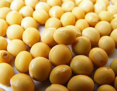 体内湿气重怎样祛除瘦小肚子,体内湿气重怎样祛除女人