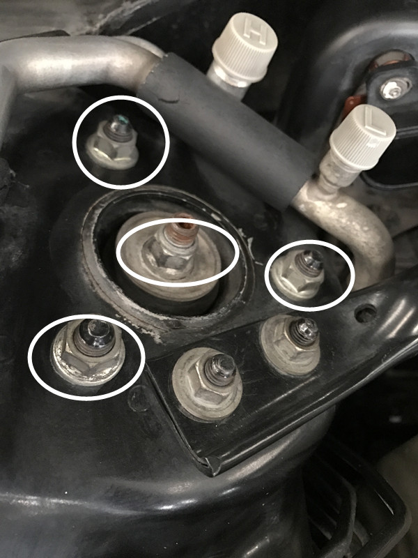 原车主把这车当浴缸使?二手雅阁的悲惨命运