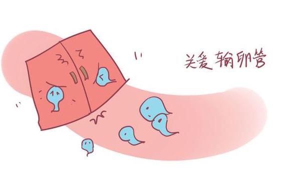 女性不孕的原因有很多输卵管堵塞,输卵管堵塞居然怀孕了是怎么回事