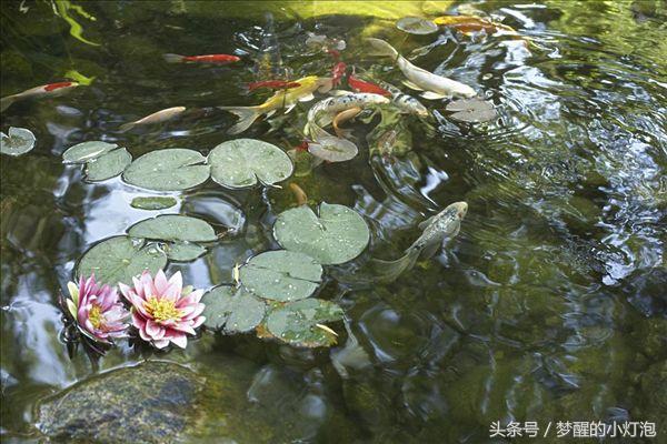 如何增加偏财运最简单的方法,提升偏财运的方法简单