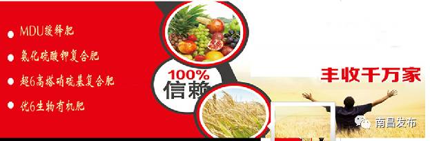 赣江新区有什么产业,赣江新区就业好吗