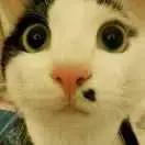 万事屋时光机开启,穿越回去看看一年前的你