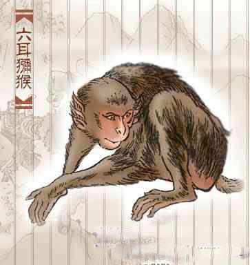 六耳猕猴身份之谜,六耳猕猴必死的秘密