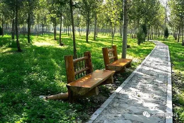 北京植物园踏青赏花,踏青赏花北京