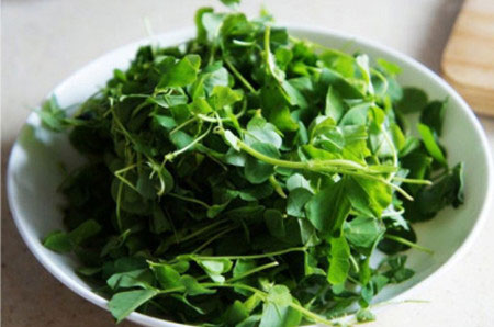 男人怕抽血护士居然这样做,老师居然对自己的学生这样做