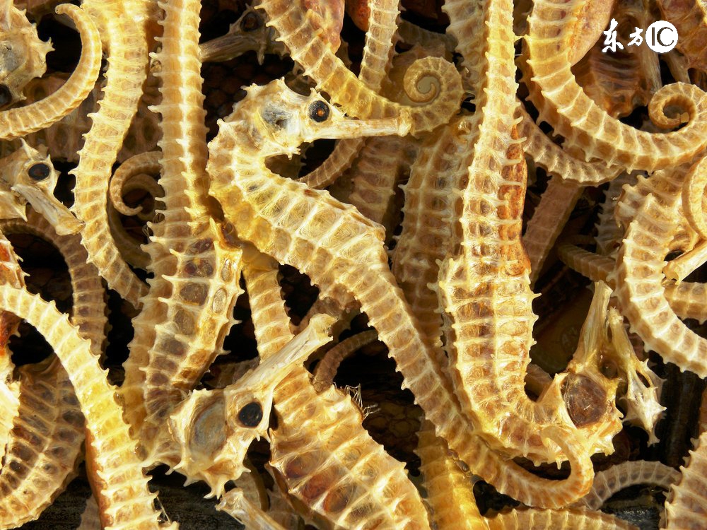 骨病吃啥有讲究中医指导有思路