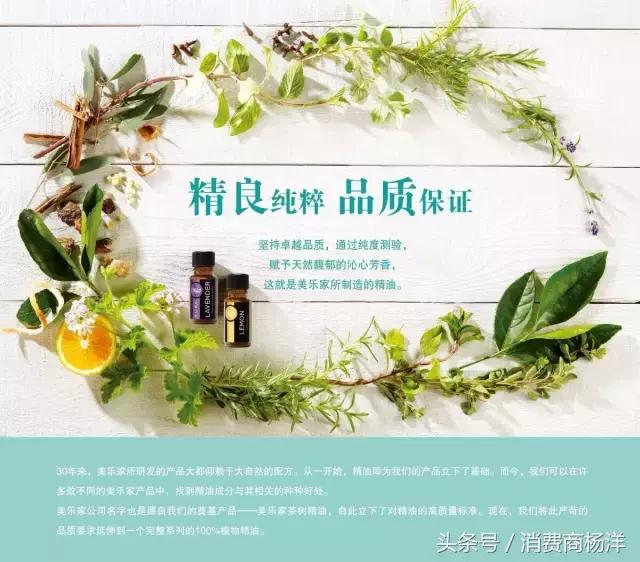 十二款精油的介绍,介绍一下精油种类和价格