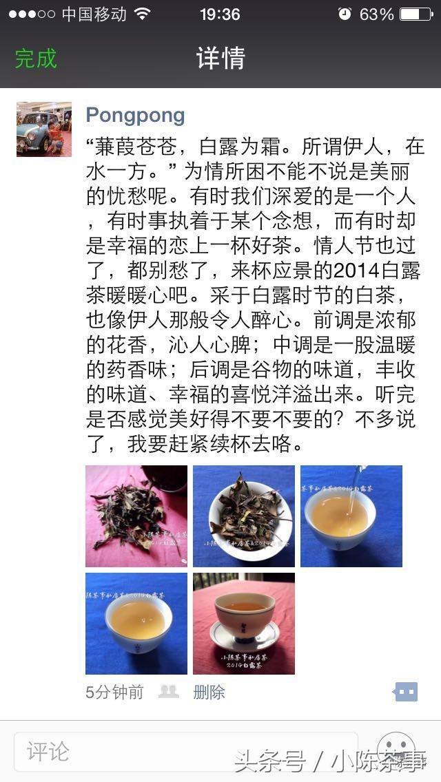 15年白露茶散茶,2019年的白露茶