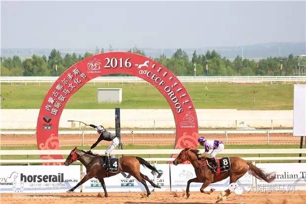 马术文化节开幕,鄂尔多斯驭马节赛事