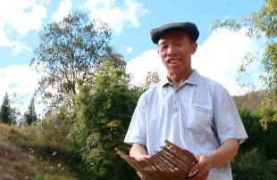 爱的供养啥意思,爱的供养的寓意是什么意思