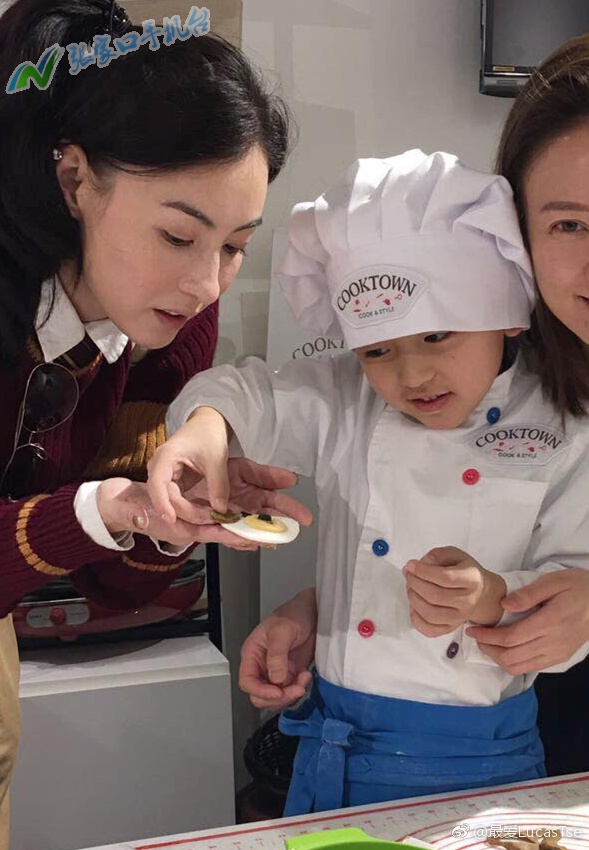 张家口新闻播报视频,张家口手机台新闻联播