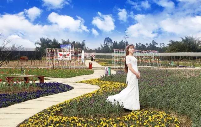 怡园花田官网,怡园花田特惠票