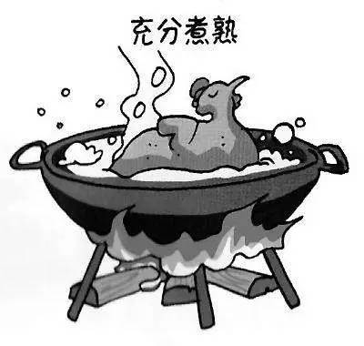 禽流感没有疫情的地区该如何防护,禽流感的主要应对措施