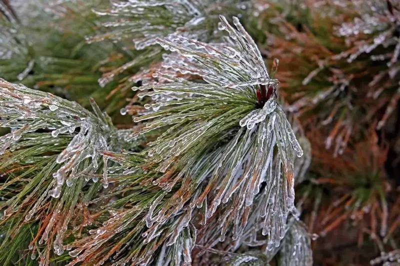 雪竟下得那么认真？居然感动了孟非踏雪来到江西，等不及了快上车