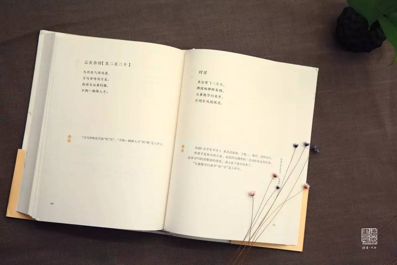 宝贝，我就是要给你诗意的人生