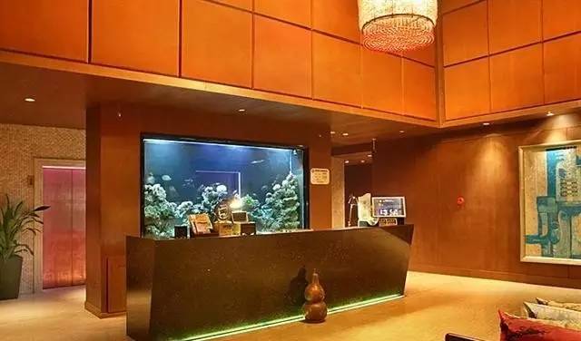 魔都这10家萌宠餐厅酒店，拯救留守在家的喵喵狗狗！咖啡、汉堡、江景……和主子腻在一起！