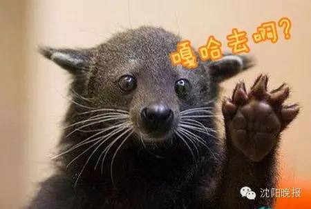 沈阳身份证210101是哪里的,身份证为什么是372425