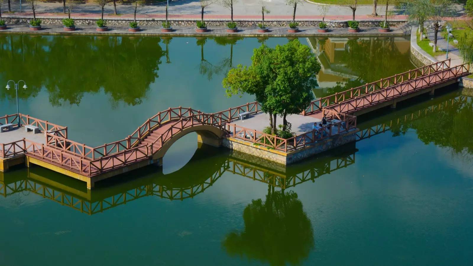 福师大版诗词大会|长安辞赋星雨谣,仓旗才俊巧成章