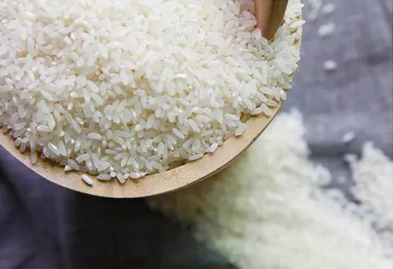 「美食」稻花香为什么会被誉为中国最好吃的大米之一？