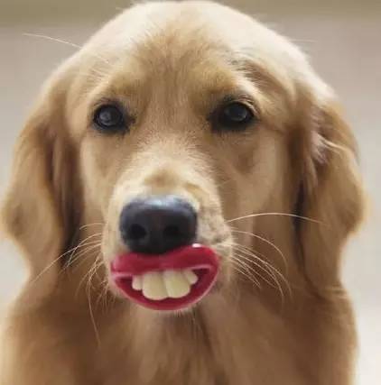 人力资源行业的困境,人力资源行业如何破局