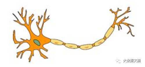 辨别真假数据科学家必备手册：深度学习45个基础问题（附答案）