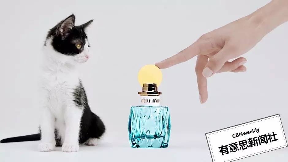 一周有哪些好玩的,一周有什么好玩的地方