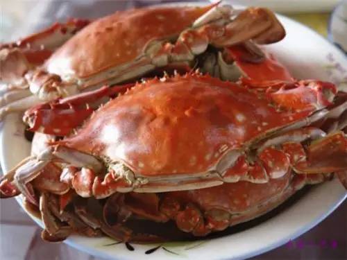 威海一月份当季海鲜,威海冬天海鲜种类