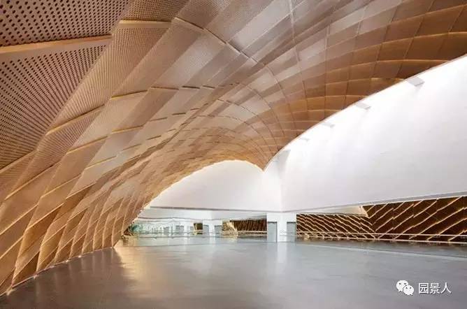 建筑师马岩松简介,中国著名建筑设计师及作品