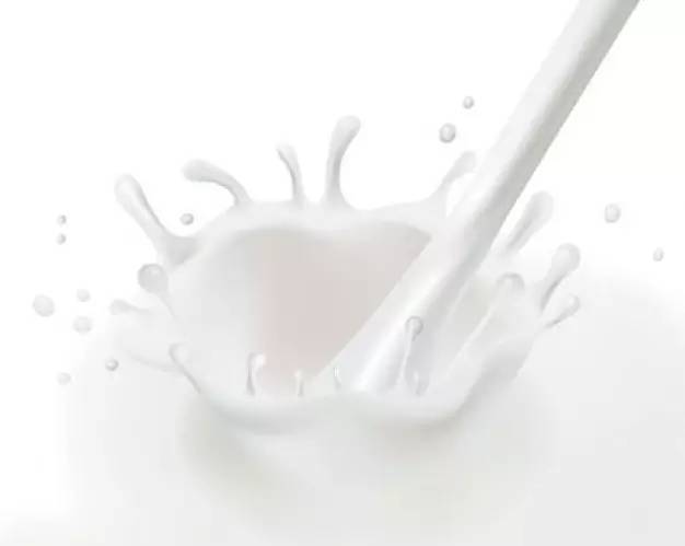 宠物能否食用婴幼儿奶粉？如何正确选择？