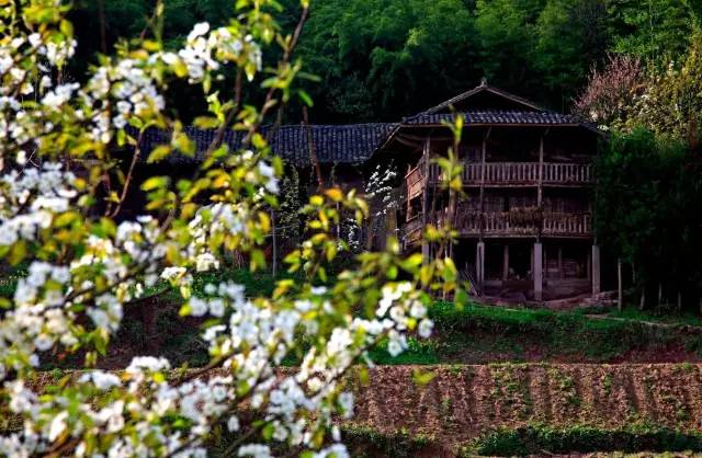 只有来过石柱，你才会知道这些事儿！