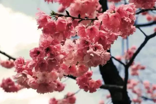 我在昆明理工大学，我为昆工骄傲